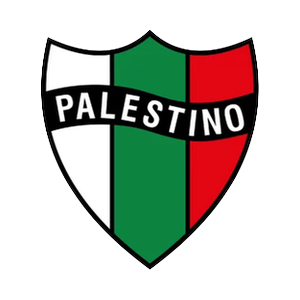 Club Deportivo Palestino